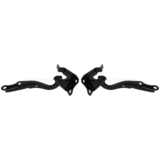 Петли капота Тойота Королла Toyota Corolla E150 (2006-2010) комплект 2 штуки левая и правая SAT высокое качество